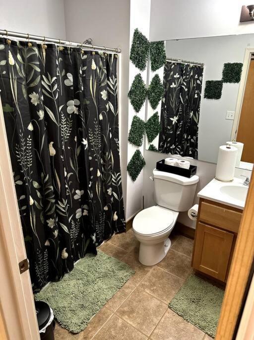 Serene Living Downtown Stl Loft セントルイス エクステリア 写真