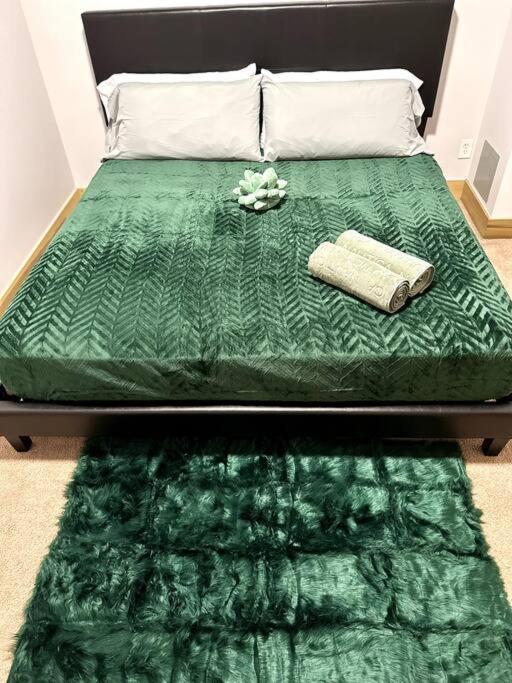 Serene Living Downtown Stl Loft セントルイス エクステリア 写真
