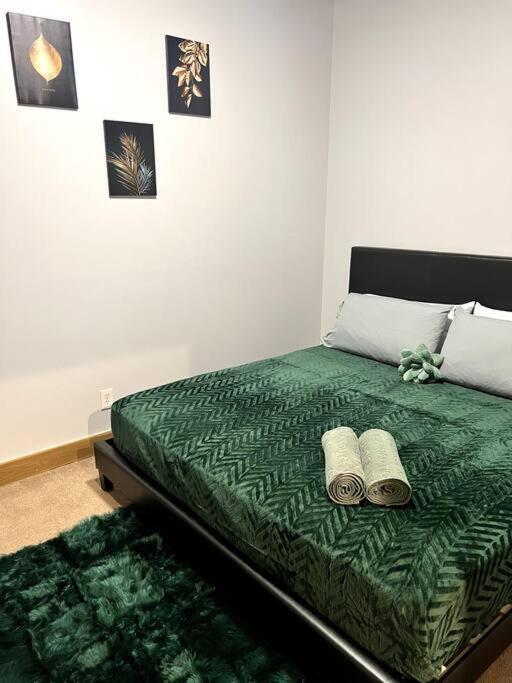 Serene Living Downtown Stl Loft セントルイス エクステリア 写真